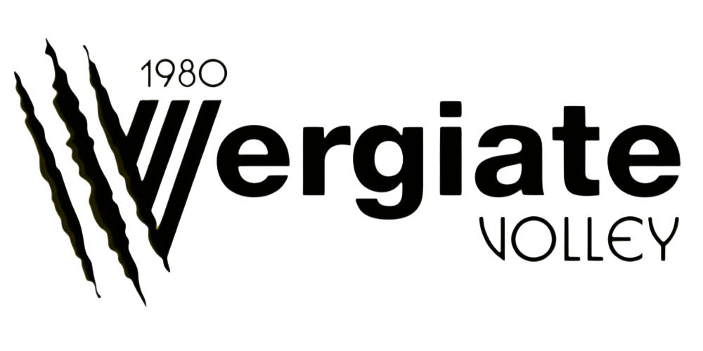 Logo Vergiate Volley